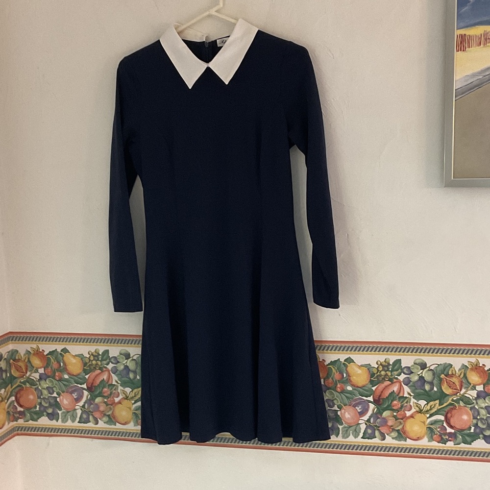 Aphratti Fit & Flare A Line Skater Dress w/Peter Pan Collar, M, Navy/White